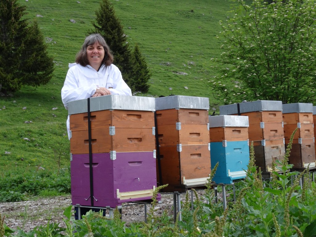 miel suisse, apiculteur, carrupt-miel.ch